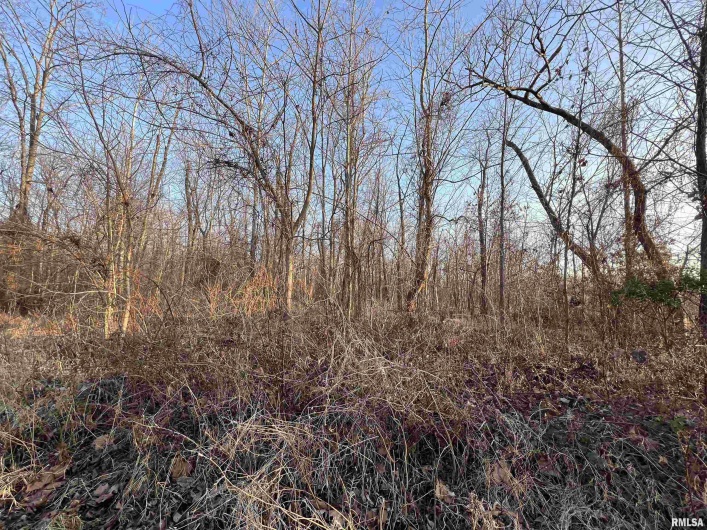 11 Choctaw Drive, Carbondale, Illinois 62901, 0 , 0 ,0,Land,For Sale,Choctaw,0,RMAEB452088