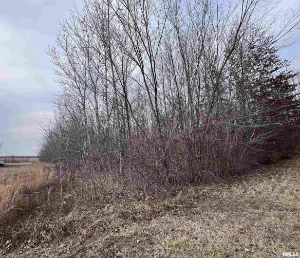11 Choctaw Drive, Carbondale, Illinois 62901, 0 , 0 ,0,Land,For Sale,Choctaw,0,RMAEB452088