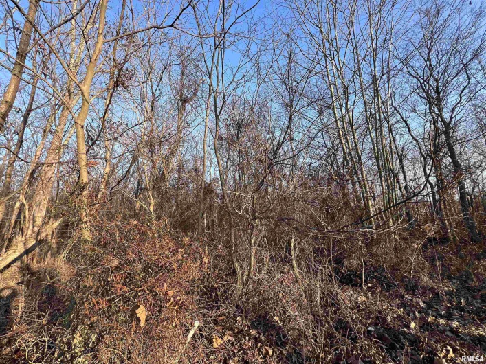 11 Choctaw Drive, Carbondale, Illinois 62901, 0 , 0 ,0,Land,For Sale,Choctaw,0,RMAEB452088