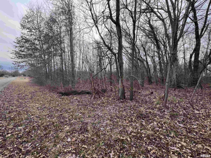 11 Choctaw Drive, Carbondale, Illinois 62901, 0 , 0 ,0,Land,For Sale,Choctaw,0,RMAEB452088