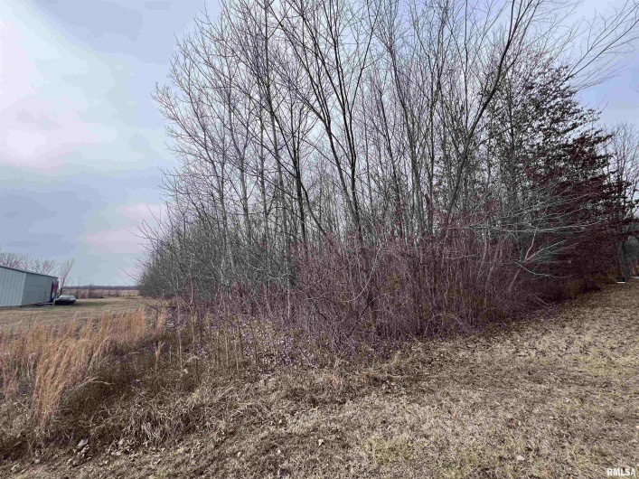 11 Choctaw Drive, Carbondale, Illinois 62901, 0 , 0 ,0,Land,For Sale,Choctaw,0,RMAEB452088
