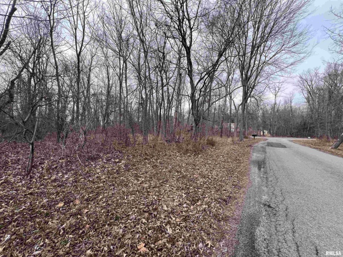11 Choctaw Drive, Carbondale, Illinois 62901, 0 , 0 ,0,Land,For Sale,Choctaw,0,RMAEB452088
