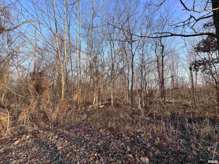 11 Choctaw Drive, Carbondale, Illinois 62901, 0 , 0 ,0,Land,For Sale,Choctaw,0,RMAEB452088