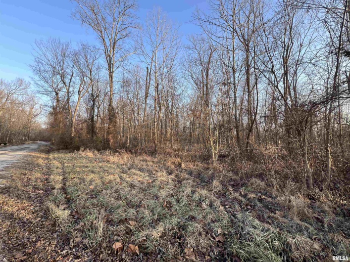 11 Choctaw Drive, Carbondale, Illinois 62901, 0 , 0 ,0,Land,For Sale,Choctaw,0,RMAEB452088