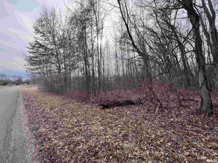 11 Choctaw Drive, Carbondale, Illinois 62901, 0 , 0 ,0,Land,For Sale,Choctaw,0,RMAEB452088