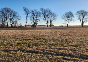 150 Cypress Branch Road, Sikeston, Missouri 63801, ,Land,For Sale,Cypress Branch,MAR24008144