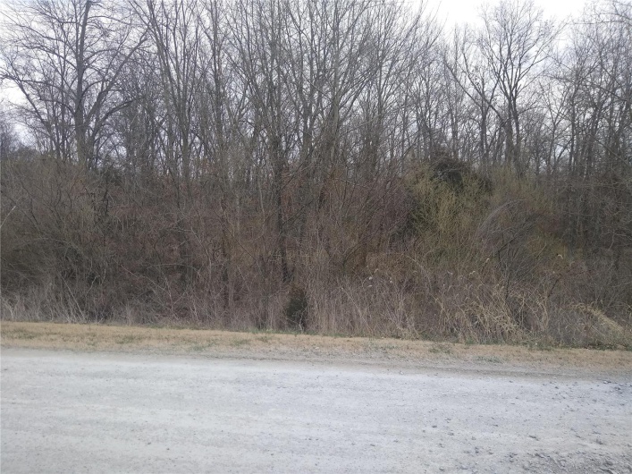 0 FLAMINGO Road, Sparta, Illinois 62286, ,Land,For Sale,FLAMINGO,MAR24011630