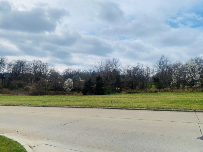 4 Lot #4 West Drive, Cape Girardeau, Missouri 63703, ,Commercial Sale,For Sale,Lot #4 West,MAR24014239