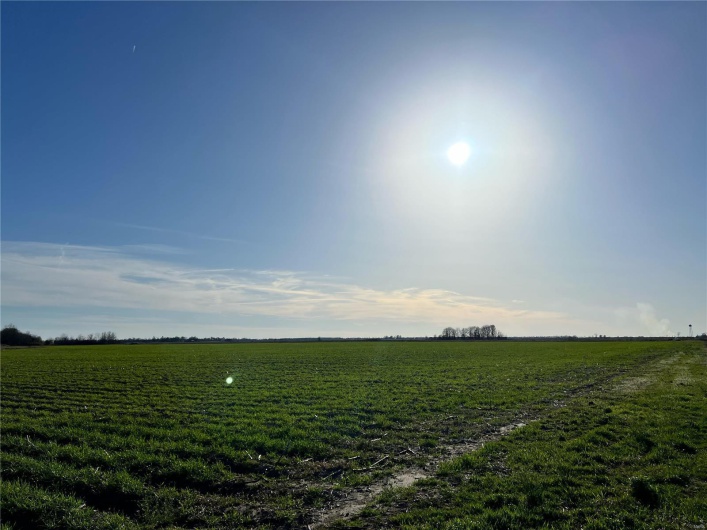 0 County Road 488, Steele, Missouri 63877, ,Farm,For Sale,County Road 488,MAR24014456