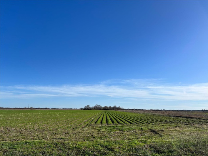 0 County Road 488, Steele, Missouri 63877, ,Farm,For Sale,County Road 488,MAR24014456
