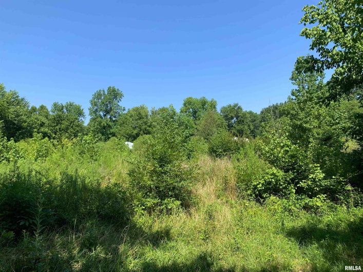 5281-5287 COUNTRY CLUB Road, Murphysboro, Illinois 62966, 0 , 0 ,0,Residential Income,For Sale,COUNTRY CLUB,0,RMAEB445821