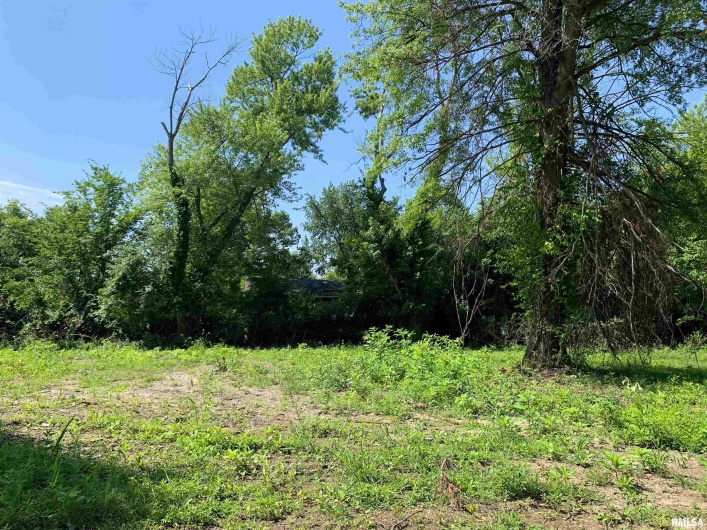 5281-5287 COUNTRY CLUB Road, Murphysboro, Illinois 62966, 0 , 0 ,0,Residential Income,For Sale,COUNTRY CLUB,0,RMAEB445821