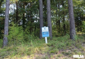 Lot 405 Parrish Ridge Road, Goreville, Illinois 62939, 0 , 0 ,0,Land,For Sale,Parrish Ridge,0,RMAEB452581