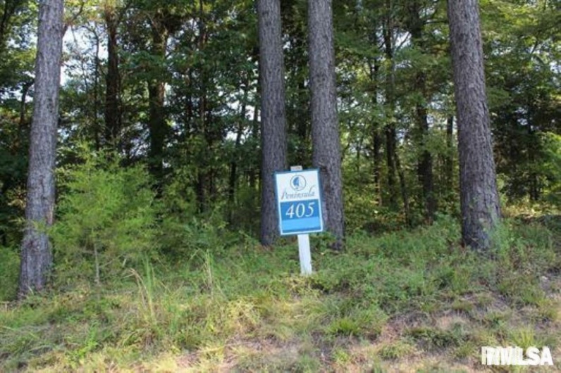Lot 405 Parrish Ridge Road, Goreville, Illinois 62939, 0 , 0 ,0,Land,For Sale,Parrish Ridge,0,RMAEB452581