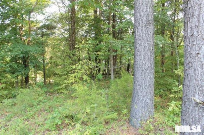 Lot 405 Parrish Ridge Road, Goreville, Illinois 62939, 0 , 0 ,0,Land,For Sale,Parrish Ridge,0,RMAEB452581
