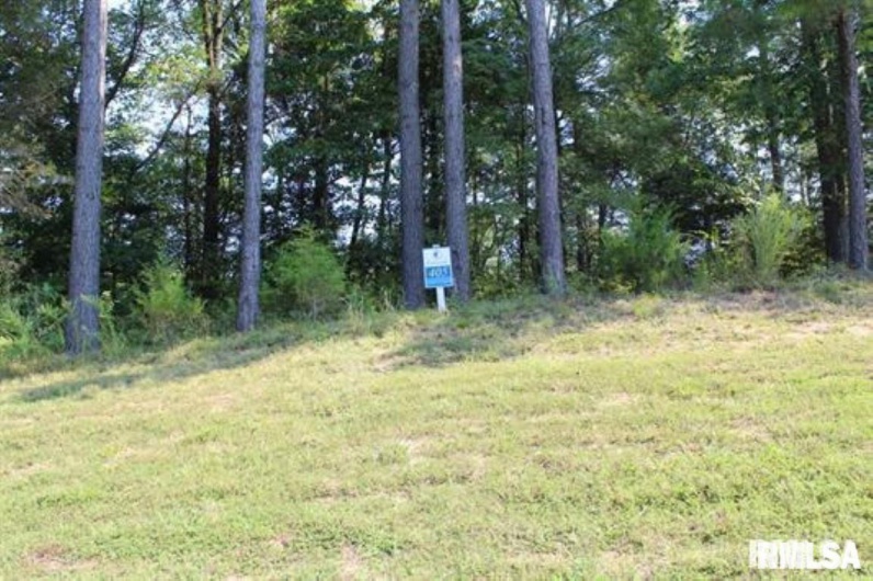 Lot 405 Parrish Ridge Road, Goreville, Illinois 62939, 0 , 0 ,0,Land,For Sale,Parrish Ridge,0,RMAEB452581