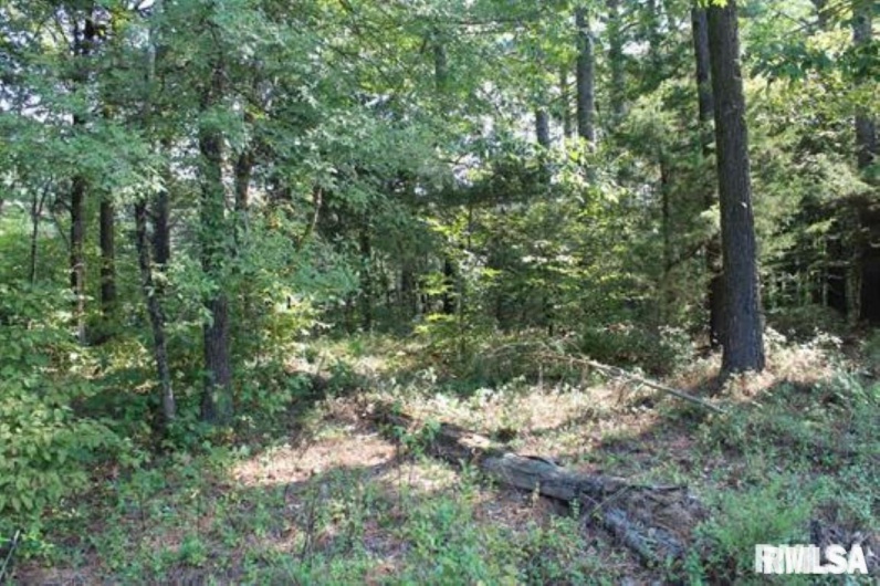 Lot 405 Parrish Ridge Road, Goreville, Illinois 62939, 0 , 0 ,0,Land,For Sale,Parrish Ridge,0,RMAEB452581
