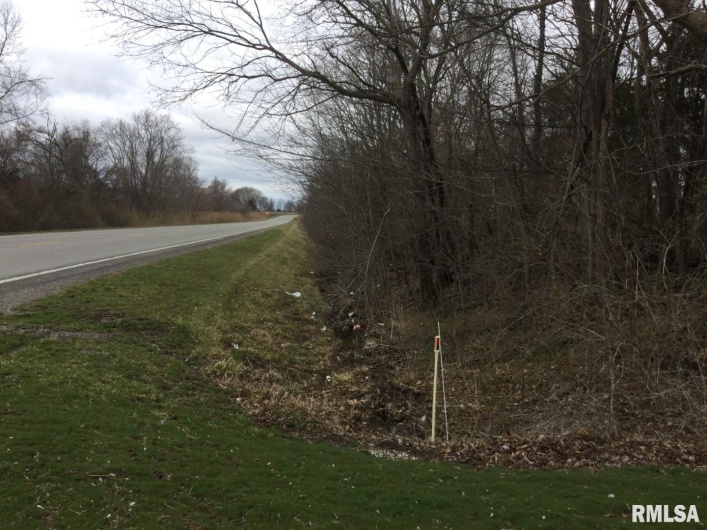 000 US ROUTE 51 Highway, DeSoto, Illinois 62924, 0 , 0 ,0,Land,For Sale,US ROUTE 51,0,RMAEB443553