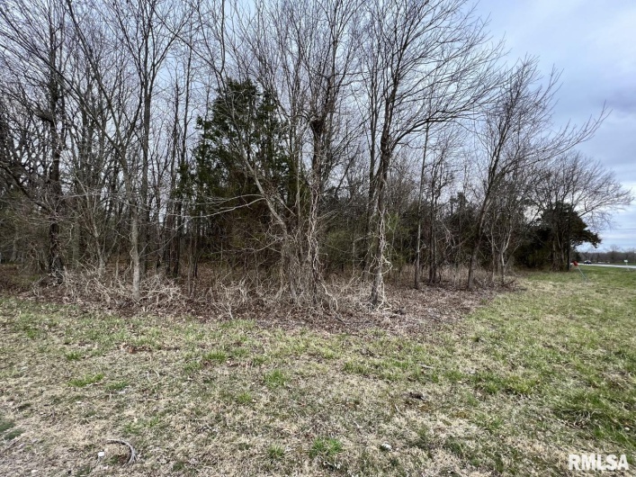 000 US ROUTE 51 Highway, DeSoto, Illinois 62924, 0 , 0 ,0,Land,For Sale,US ROUTE 51,0,RMAEB443553