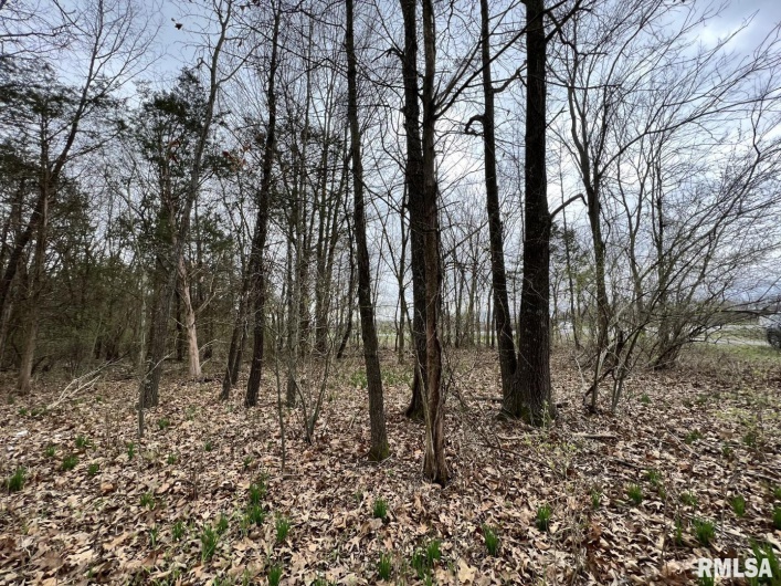 000 US ROUTE 51 Highway, DeSoto, Illinois 62924, 0 , 0 ,0,Land,For Sale,US ROUTE 51,0,RMAEB443553