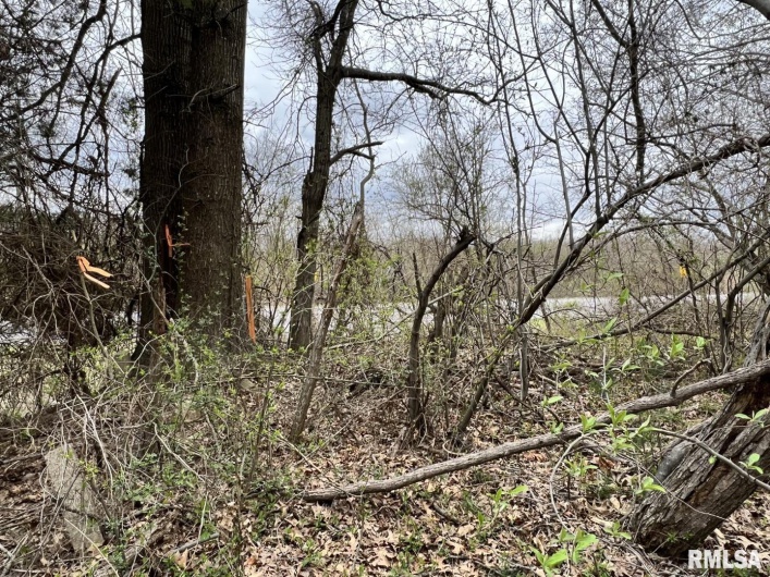 000 US ROUTE 51 Highway, DeSoto, Illinois 62924, 0 , 0 ,0,Land,For Sale,US ROUTE 51,0,RMAEB443553