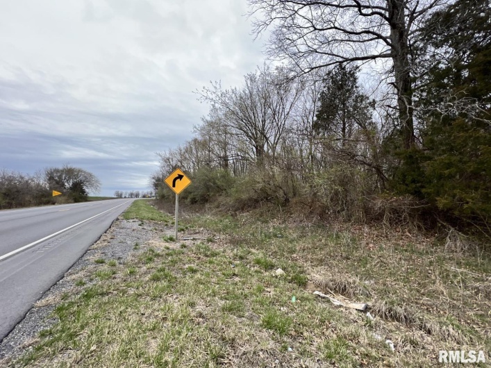 000 US ROUTE 51 Highway, DeSoto, Illinois 62924, 0 , 0 ,0,Land,For Sale,US ROUTE 51,0,RMAEB443553