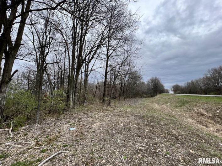 000 US ROUTE 51 Highway, DeSoto, Illinois 62924, 0 , 0 ,0,Land,For Sale,US ROUTE 51,0,RMAEB443553