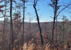 55 Madison CR 410, Fredericktown, Missouri 63645, ,Farm,For Sale,Madison CR 410,MAR24021090