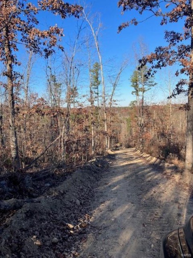 55 Madison CR 410, Fredericktown, Missouri 63645, ,Farm,For Sale,Madison CR 410,MAR24021090