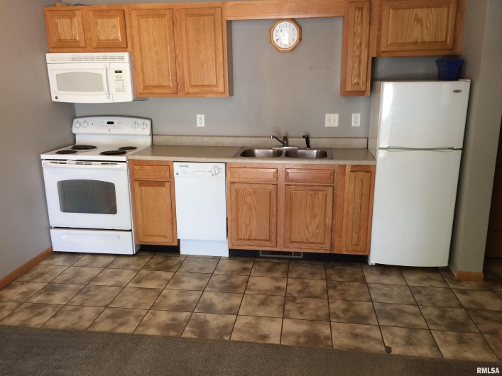 615 LOGAN Avenue, Carbondale, Illinois 62901, 0 , 0 ,0,Residential Income,For Sale,LOGAN,0,RMAEB452905