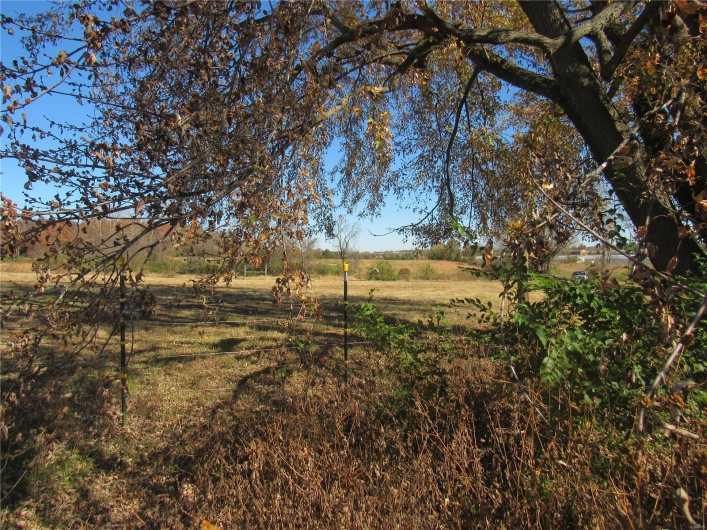 1741 Liberty Street, Farmington, Missouri 63640, 3 Bedrooms Bedrooms, 8 Rooms Rooms,1 BathroomBathrooms,Farm,For Sale,Liberty,MAR23065245