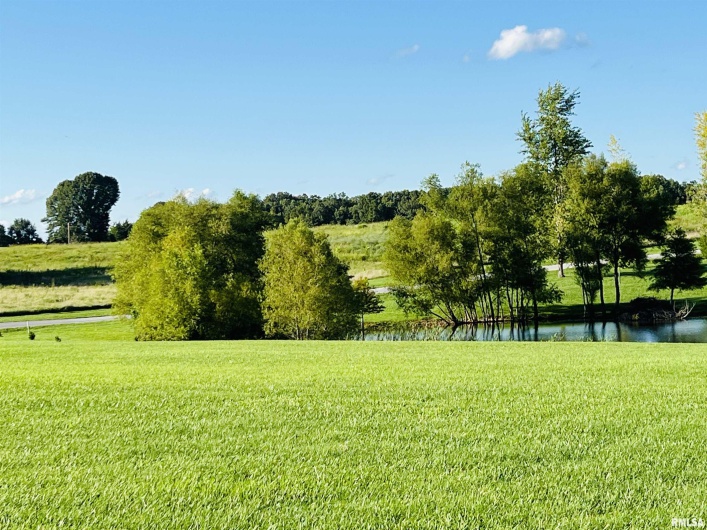 000 Shannon Lake Estates, Anna, Illinois 62906-0000, 0 , 0 ,0,Land,For Sale,Shannon Lake,0,RMAEB452981