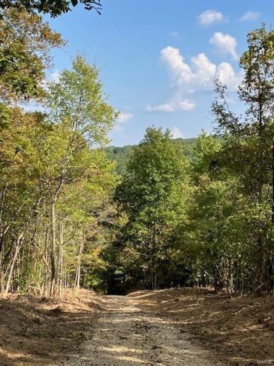 18 Church Road (CR 114), Annapolis, Missouri 63620, ,Farm,For Sale,Church Road (CR 114),MAR24028537