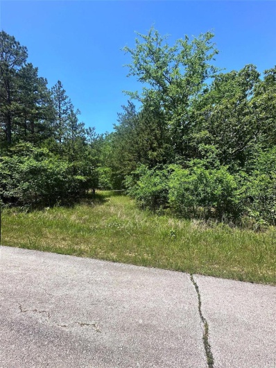 2587 Co Rd 521, Williamsville, Missouri 63901, ,Farm,For Sale,Co Rd 521,MAR24027852