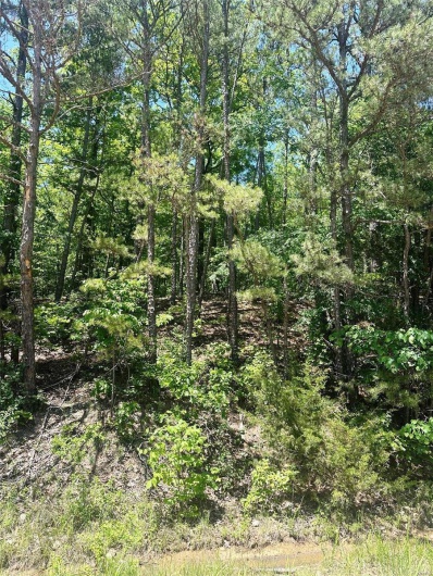 2587 Co Rd 521, Williamsville, Missouri 63901, ,Farm,For Sale,Co Rd 521,MAR24027852
