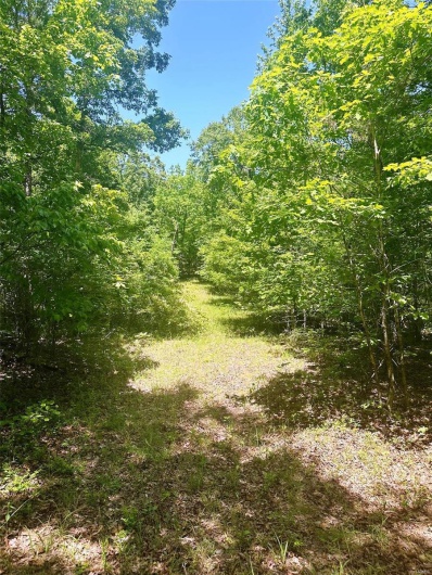 2587 Co Rd 521, Williamsville, Missouri 63901, ,Farm,For Sale,Co Rd 521,MAR24027852