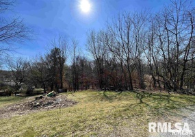 001 MAIN Street, Dongola, Illinois 62926, 0 , 0 ,0,Land,For Sale,MAIN,0,RMAEB453319