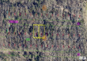 0000 MALLARD Drive, Carterville, Illinois 62918, 0 , 0 ,0,Land,For Sale,MALLARD,0,RMAEB453308