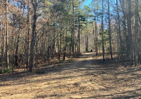 61 Madison CR 410, Fredericktown, Missouri 63645, ,Farm,For Sale,Madison CR 410,MAR24036217
