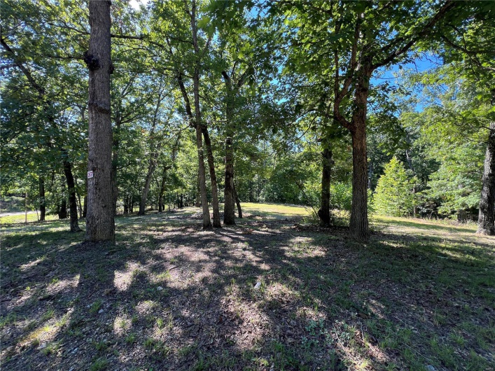 7037 Lake Point Drive, Perryville, Missouri 63775, ,Land,For Sale,Lake Point,MAR24037183