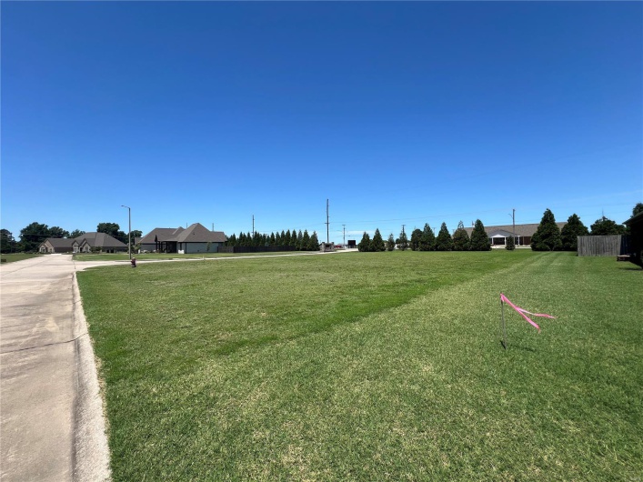 0 Viburnum Drive, Kennett, Missouri 63857, ,Land,For Sale,Viburnum,MAR24038000