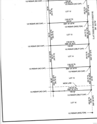 14 Laurelwood Drive, Kennett, Missouri 63857, ,Land,For Sale,Laurelwood,MAR24038025