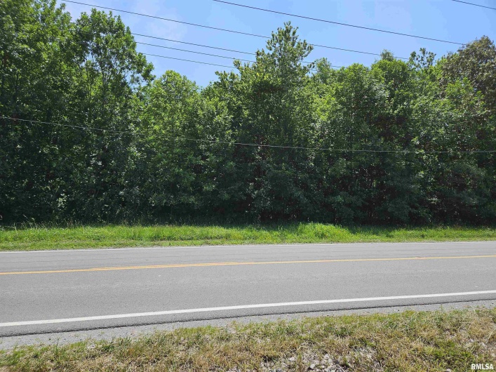 000 State Route 51 Route, Pulaski, Illinois 62976, 0 , 0 ,0,Land,For Sale,State Route 51,0,RMAEB454006