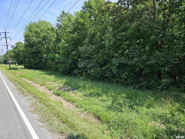 000 State Route 51 Route, Pulaski, Illinois 62976, 0 , 0 ,0,Land,For Sale,State Route 51,0,RMAEB454006