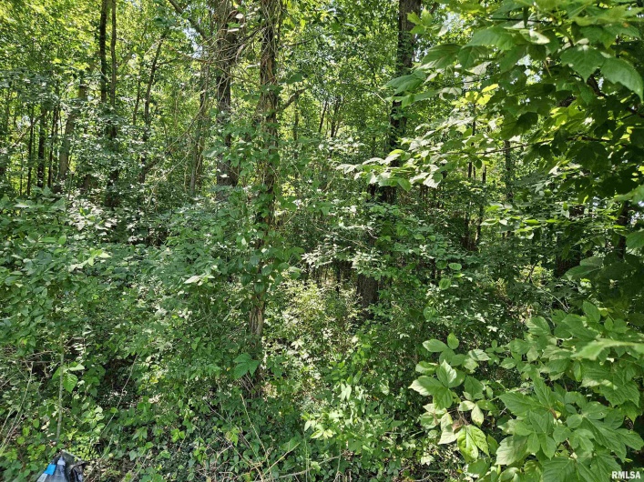 000 State Route 51 Route, Pulaski, Illinois 62976, 0 , 0 ,0,Land,For Sale,State Route 51,0,RMAEB454006