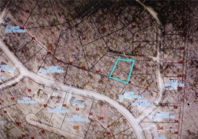 1504 Caroline Court, Bonne Terre, Missouri 63628, ,Land,For Sale,Caroline,MAR24039732