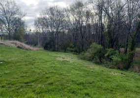 0 Feltz Street, Perryville, Missouri 63775, ,Land,For Sale,Feltz,MAR24020149