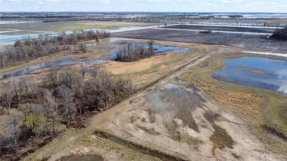 0 County Road 713, Matthews, Missouri 63867, ,Farm,For Sale,County Road 713,MAR23031820