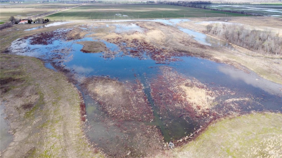 0 County Road 713, Matthews, Missouri 63867, ,Farm,For Sale,County Road 713,MAR23031820