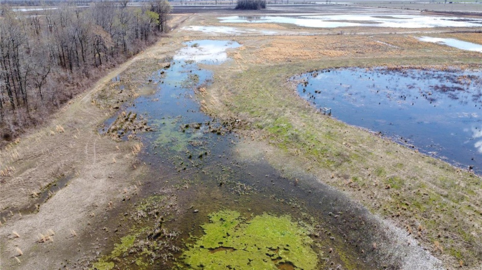 0 County Road 713, Matthews, Missouri 63867, ,Farm,For Sale,County Road 713,MAR23031820